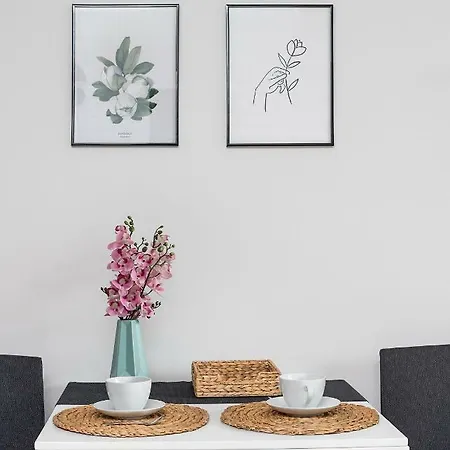 Apartmán Teatr Wielki 2-bedroom *